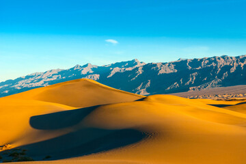Desert with sand dunes and rocks in the background.