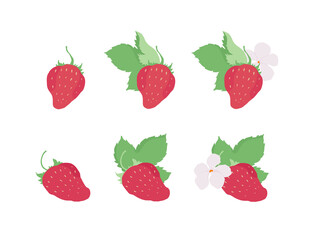 Fototapeta na wymiar Vector strawberries. Strawberry flowers and leaves. Outline vector illustration on a white background. 