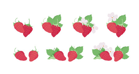 Vector strawberries. Strawberry flowers and leaves. Outline vector illustration on a white background. 