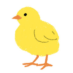 ヒヨコ　ひよこ　イラスト　手描き　クレヨン
