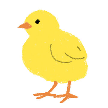 4 043 Best ひよこ Images Stock Photos Vectors Adobe Stock 4 043 Best ひよこ Images Stock Photos Vectors Adobe Stock
