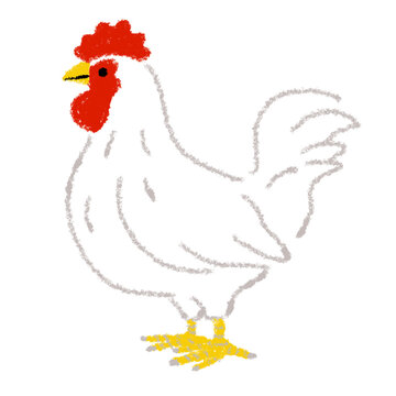 ニワトリ　にわとり　鶏　イラスト　手描き　クレヨン
