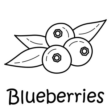 Badge blueberries with the inscription. Vector, eps