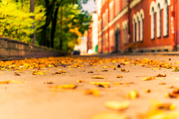 Autumn in the city, alley that runs between houses and a park strewn with fallen leaves. View from...