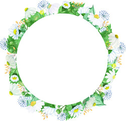 Vintage white flowers with green leaves circle frame painting watercolor vector illustration