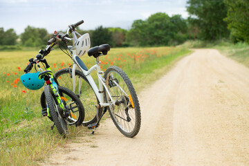 Kids and adult bikes on the country road. Family fun vacation concept