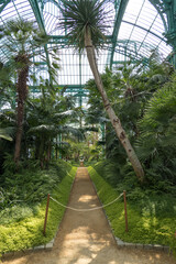 Belgium, Brussels, interior of the Congo greenhouse