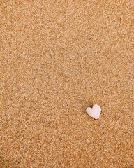 Fototapeta na wymiar Heart-shaped white shell rock on golden yellow sand