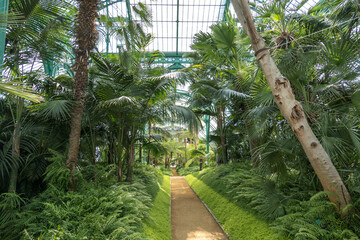Belgium, Brussels, alley in the Congo greenhouse