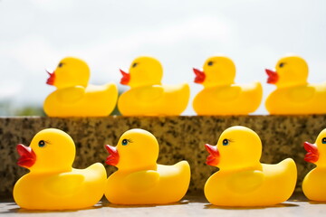 gelbe Gummienten, gelber Hintergrund 