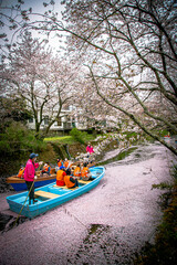 桃色トンネルを駆け抜け