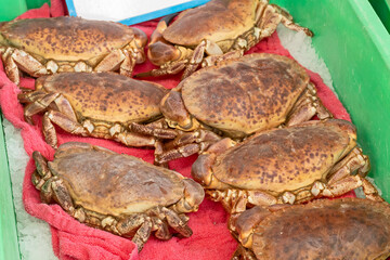 plusieurs crabes dans une caisse sur un marché