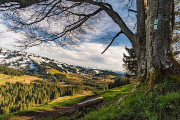 Mountain tour along the Alpenfreiheit premium trail near Oberstaufen