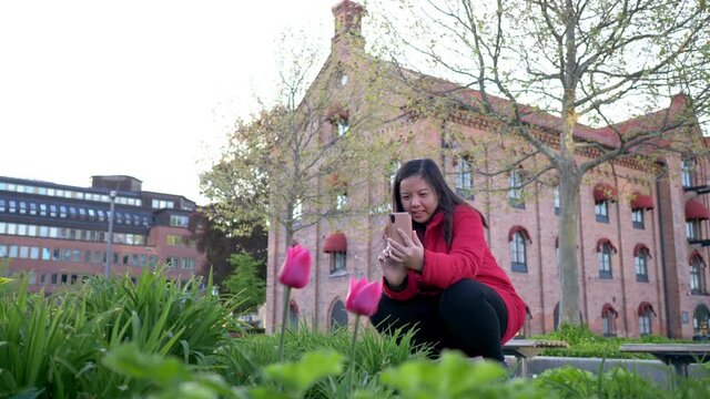 Asian woman walking and sitting to take a picture of beautiful pink flower in the city, getting wonderful time, feeling relax and seeing beautiful nature. city background. Going out for a walk
