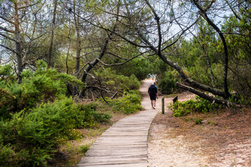 Obraz premium man discovering forest paths in the Landes