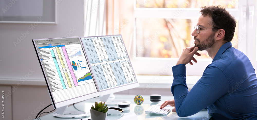 Poster analyst employee using spreadsheet