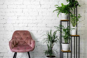 modern minimalism interior with pink chair and stand with green houseplants on white brick wall...