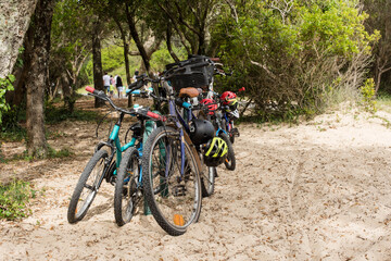 bicycle parking in the Landes forest