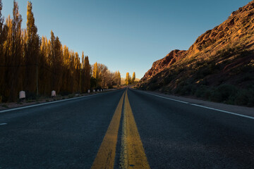Tarmac road lined by yellow poplar trees on an autumn afternoon in Uspallata, province of Mendoza, Argentina.