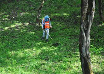 A migrant from the municipal service mows the first grass with a trimmer. Mowing of meadow grasses causes serious discontent among residents and harms the urban ecosystem. Moscow, May, 2019