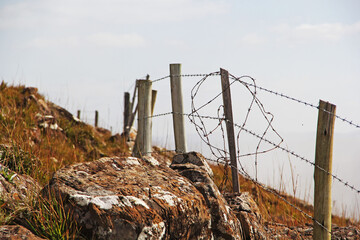barbed wire fence