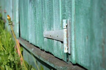 old wooden blue-green gate in the garden