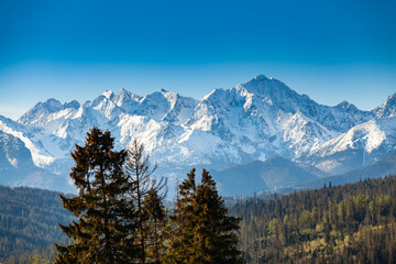 Obraz premium Beautiful view of the snow-capped peaks of the Tatra Mountains. Poland
