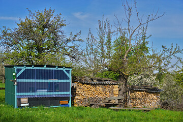 Fototapeta na wymiar Bienenhaus und Brennholzstapel in einer Streuobstwiese