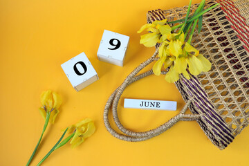Calendar for June 9: cubes with the numbers 0 and 9, the name of the month of June in English,...