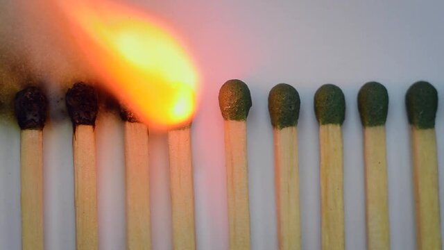 concept: solving one saves many. The matches are lit from each other, one moved and stopped spreading the fire. Macro  matches on a blue background