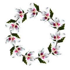 Lily wreath for text. Flower rosette. Round frame with lilies.