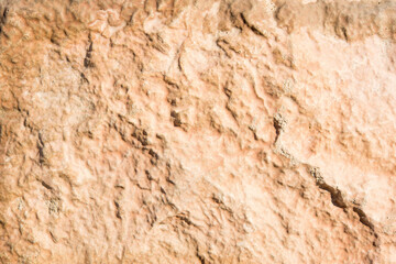 Obraz premium Beige rough wall