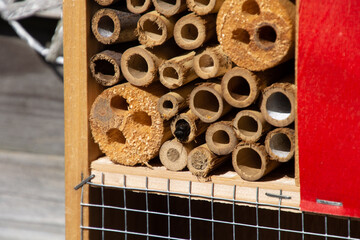 bee hotel or insect hotel with single black bee hanging in the ornamental garden