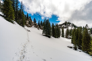 Mountain tour along the Alpenfreiheit premium trail near Oberstaufen