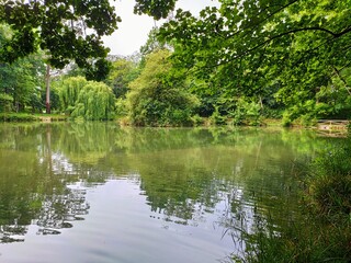 Fototapeta na wymiar Pond in La Cebera park, Lugones city, Asturias, Spain