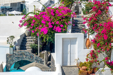 Small Courtyards With Flowers on the Terraces of Santorini
