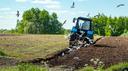 a blue tractor plows a field before sowing a crop,