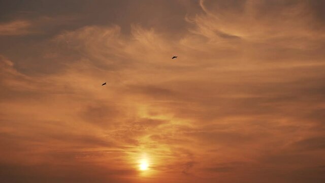 sunset in the sky  and birds are flying 