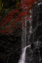 ダイナミックな滝