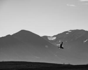 Silhouette in Walden, Colorado