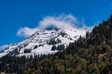Mountain tour along the Alpenfreiheit premium trail near Oberstaufen