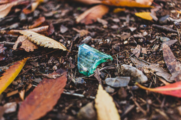 Shards of glass