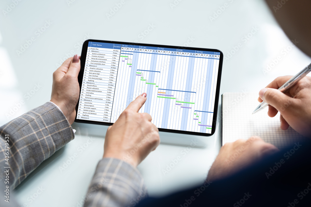 Poster Project Management Chart Gantt Software