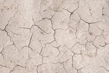 soil erosion. cracks in the ground due to drought. environmental problems