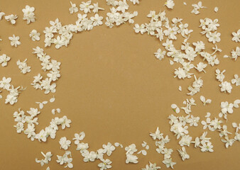 Lilac petals on colorful background. Flowers blossoming spring pattern with violet lilac
