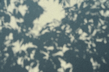 Defocused abstract background. Blurred shadows of trees on white background.