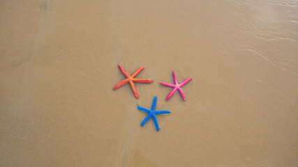 .Top view Colorful starfish on the sandy beach at Karon Beach, Phuket..Three starfish sandy beach background..