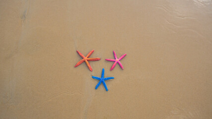 .Top view Colorful starfish on the sandy beach at Karon Beach, Phuket..Three starfish sandy beach background..