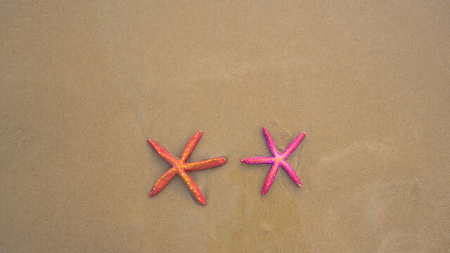 .Top view Colorful starfish on the sandy beach at Karon Beach, Phuket..Three starfish sandy beach background..
