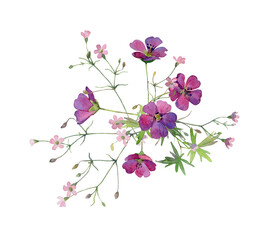 Fototapeta na wymiar Watercolor small bouquet of pink wildflowers on a white background